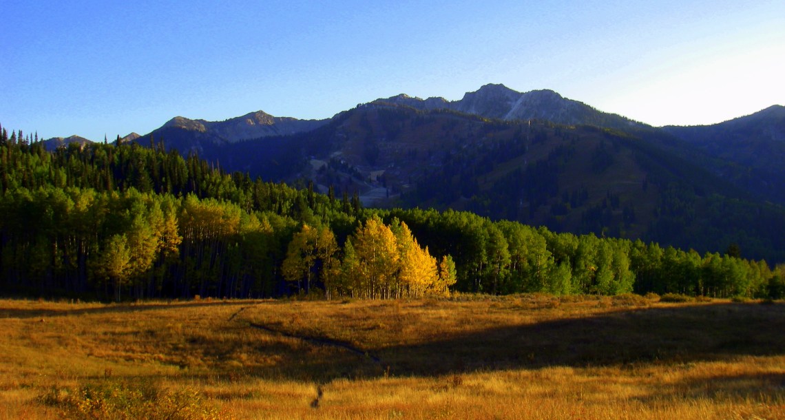 Utah fall color in Willow Fork near Honeycomb Canyon